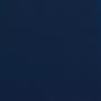 Unisex Smith Navy and Gold Watch