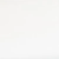 Unisex Edgewood White and Gold Watch