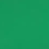 Unisex Trojan Green and Gold Silicone Watch