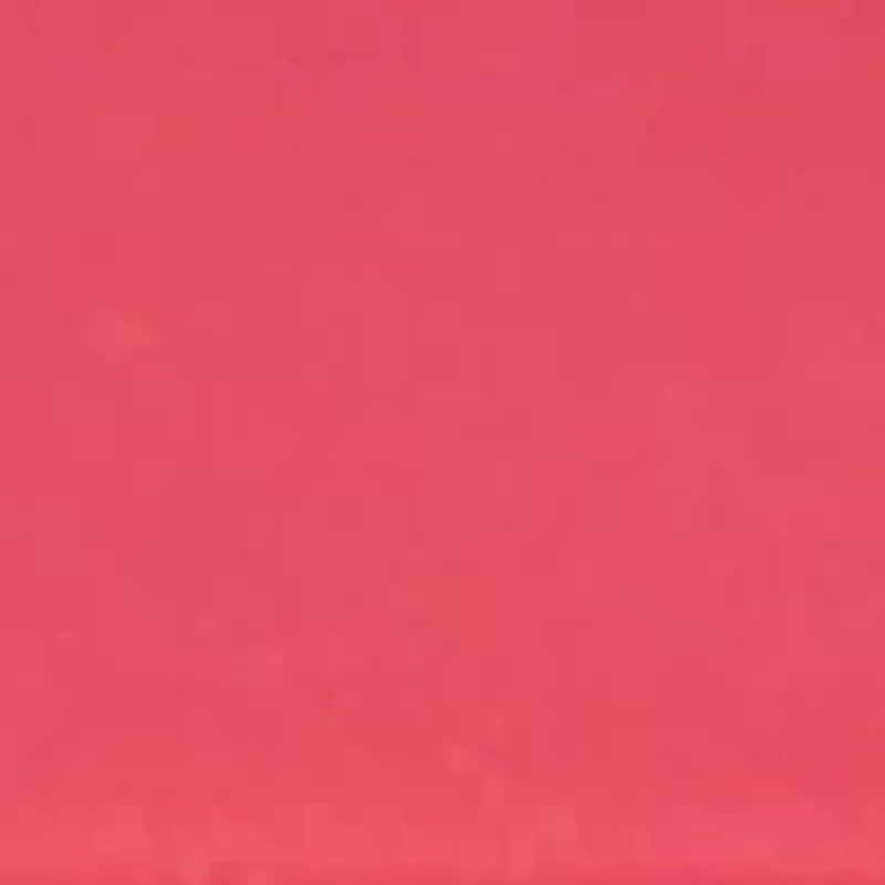 Unisex Byrd Cranberry and Gold Silicone Band Watch