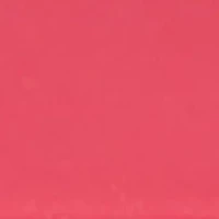 Unisex Byrd Cranberry and Gold Silicone Band Watch