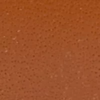 Ferguson Tan Leather Band Watch