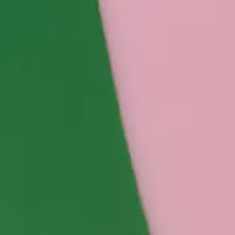 Unisex Quad Pink and Green Silicone Band Watch