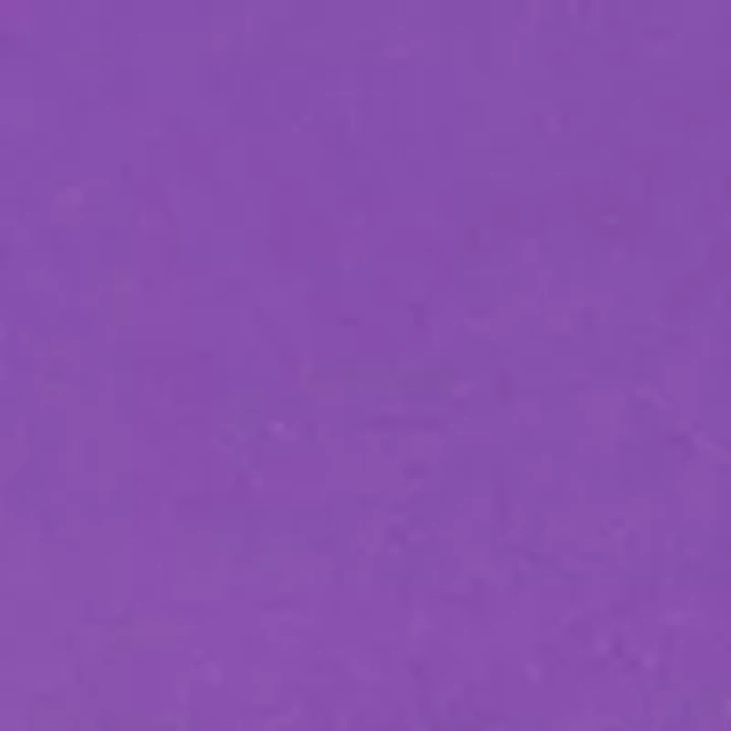  Unisex Montclair Purple and Pink Silicone Band Watch