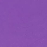  Unisex Montclair Purple and Pink Silicone Band Watch