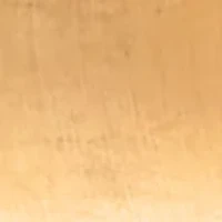 Gold Tone Stainless Bracelet Watch