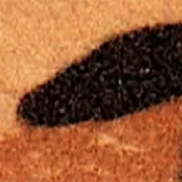 Petite Mary Gold Leopard Band Watch