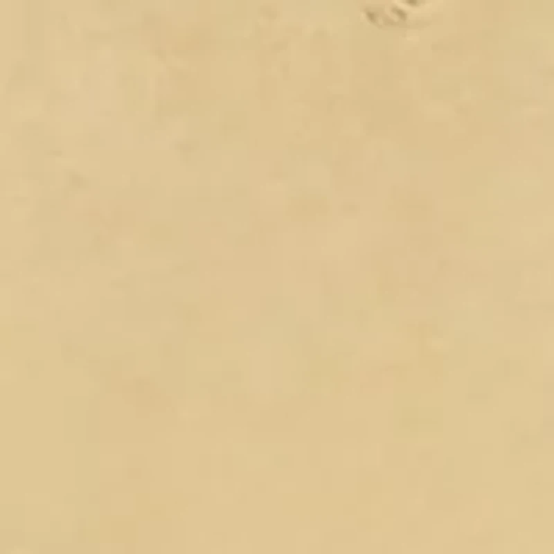 Gold-Tone Tan Leather Magnetic Bracelet