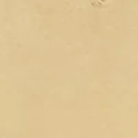 Gold-Tone Tan Leather Magnetic Bracelet