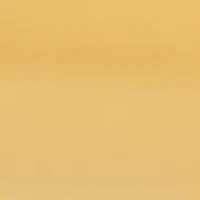 Gold Tone Hinge Bangle Bracelet