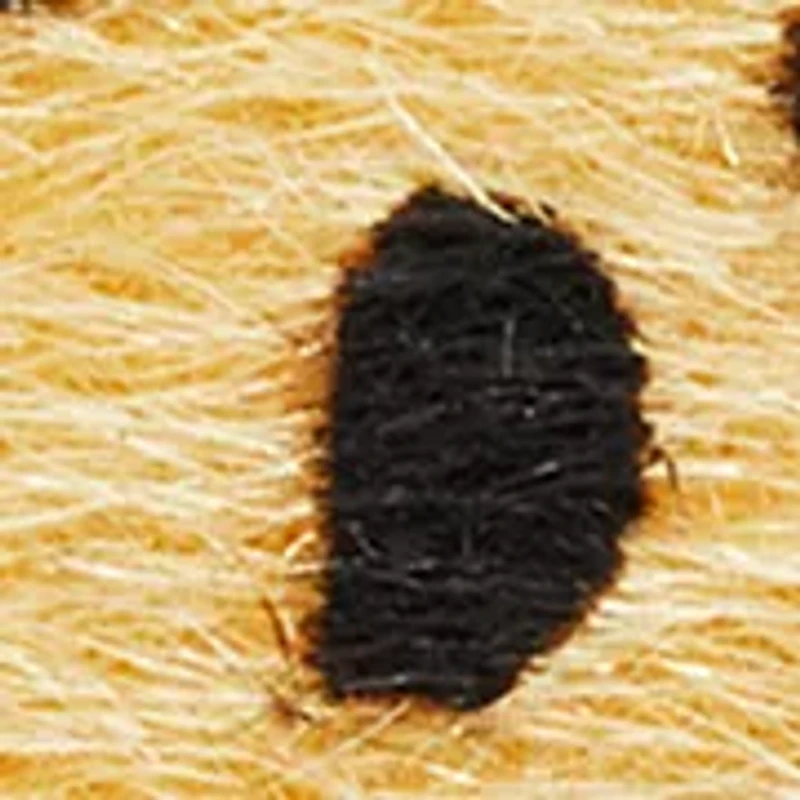 Leopard Printed Grad Disc Frontal Necklace