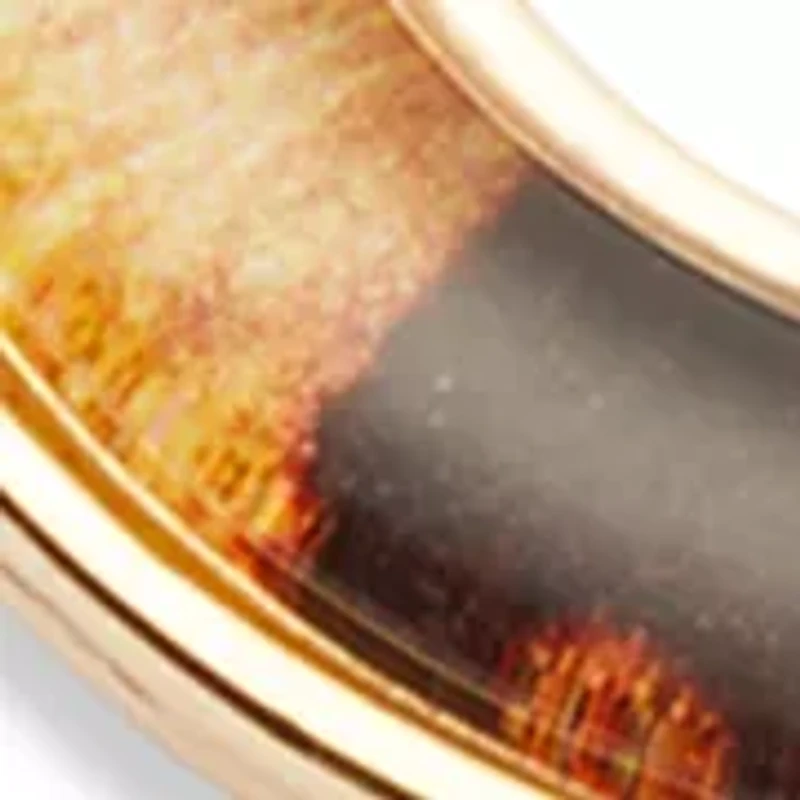 Leopard Print Donut Disc Earrings