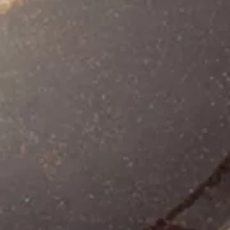 Round Leopard Print Double Drop Earrings