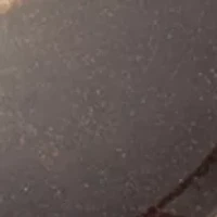 Round Leopard Print Double Drop Earrings