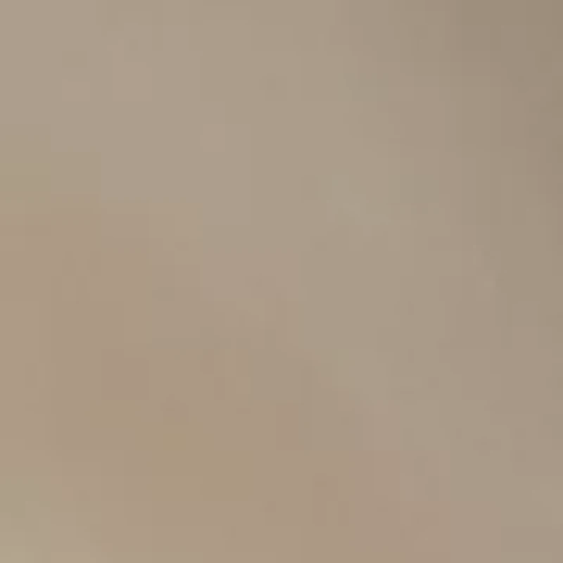 Pearl Inlay Drop Earrings