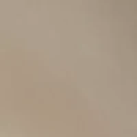 Pearl Inlay Drop Earrings