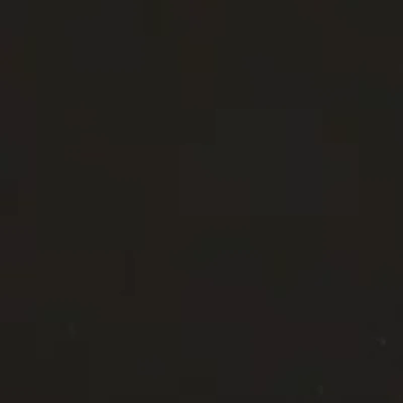 Large Inlay Drop Earrings