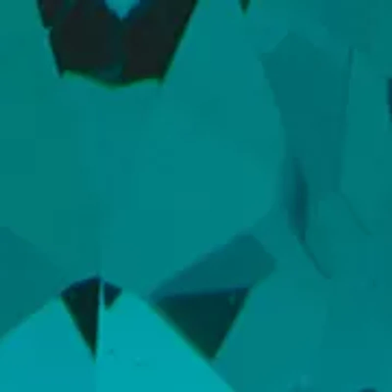 Teardrop Stone  Earrings