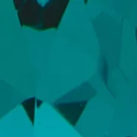 Teardrop Stone  Earrings