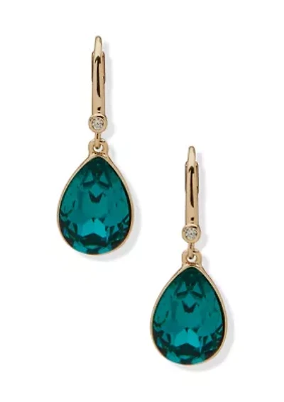 Teardrop Stone  Earrings