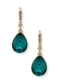 Teardrop Stone  Earrings