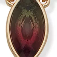 Gold Tone 2 Row Pendant Necklace