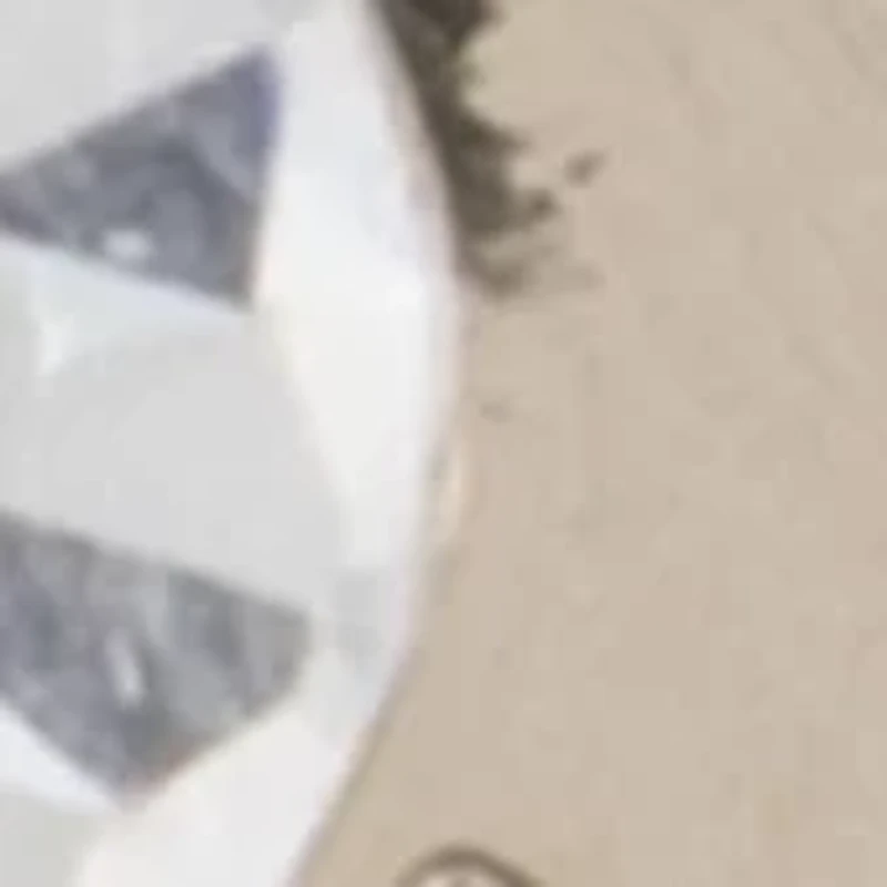 Crystal Logo Stone Drop Earrings