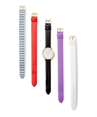Watch Set Interchangeable Straps
