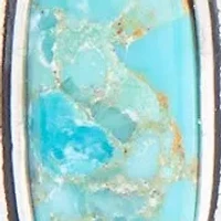 Emile Blue Turquoise Silver Dangle Earrings