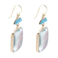Scenic Golden Drop Earrings