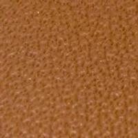 Women's Light Brown Gold Tone Watch