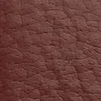 Quartz Rectangular Gold Tone Honey Faux Leather Crystal Dial Watch