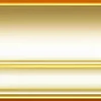 Gold Tone Mother of Pearl Glitz Watch