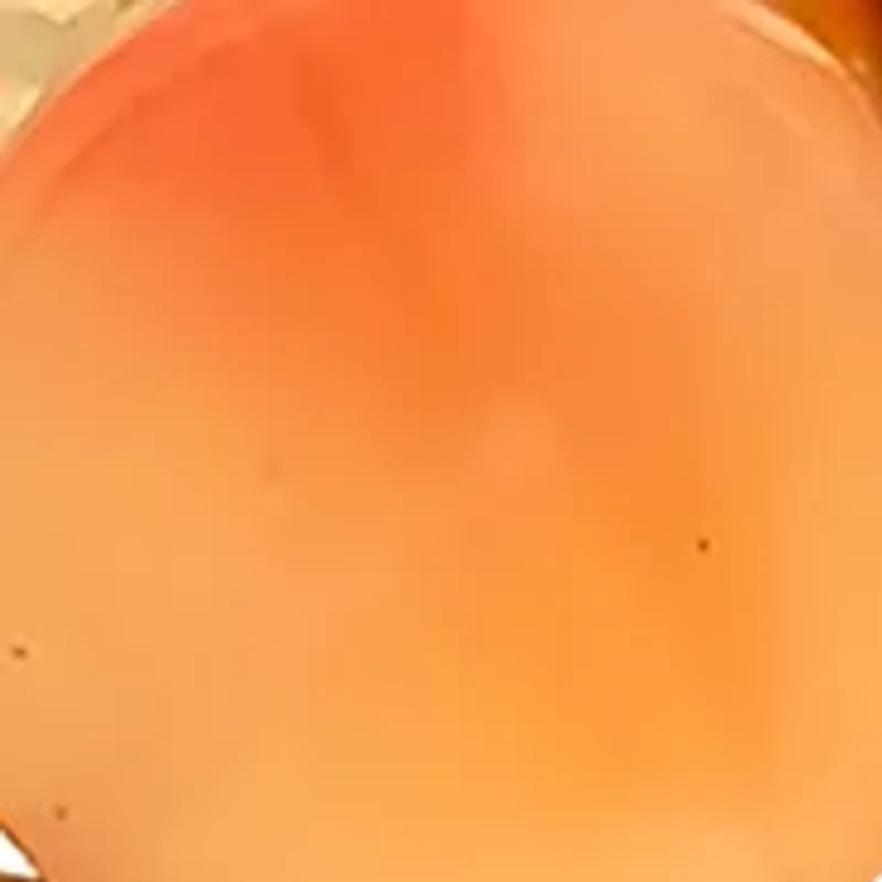 Gold-Tone 2 Row Coral Beaded Stretch Bracelet Set