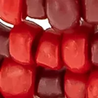 Gold Tone Multi Row Red Seed Bead Stretch Bracelet