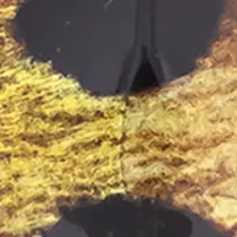 Leopard Print Resin Disc Frontal Necklace