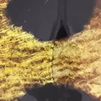 Leopard Print Resin Disc Frontal Necklace