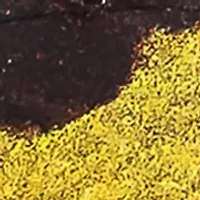 Leopard Print Resin Double Drop Earrings