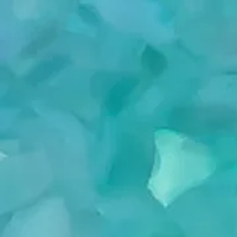 Silver Tone Ombré Shell Donut Drop Earrings