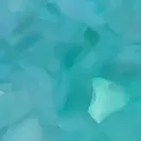 Silver Tone Ombré Shell Donut Drop Earrings