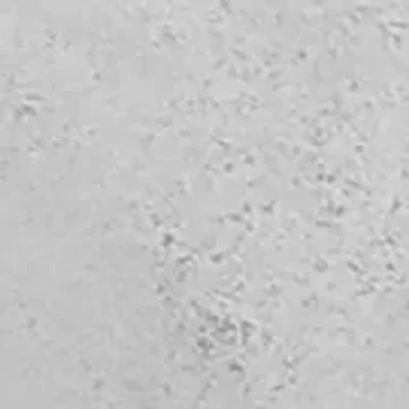 Heirloom Charms Disc Drop Earrings