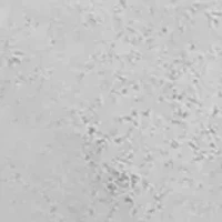 Heirloom Charms Disc Drop Earrings