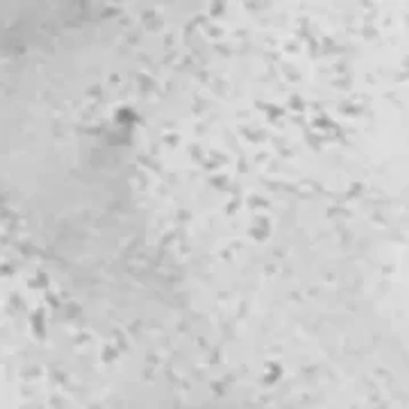 Heirloom Charms Disc Huggie Earrings