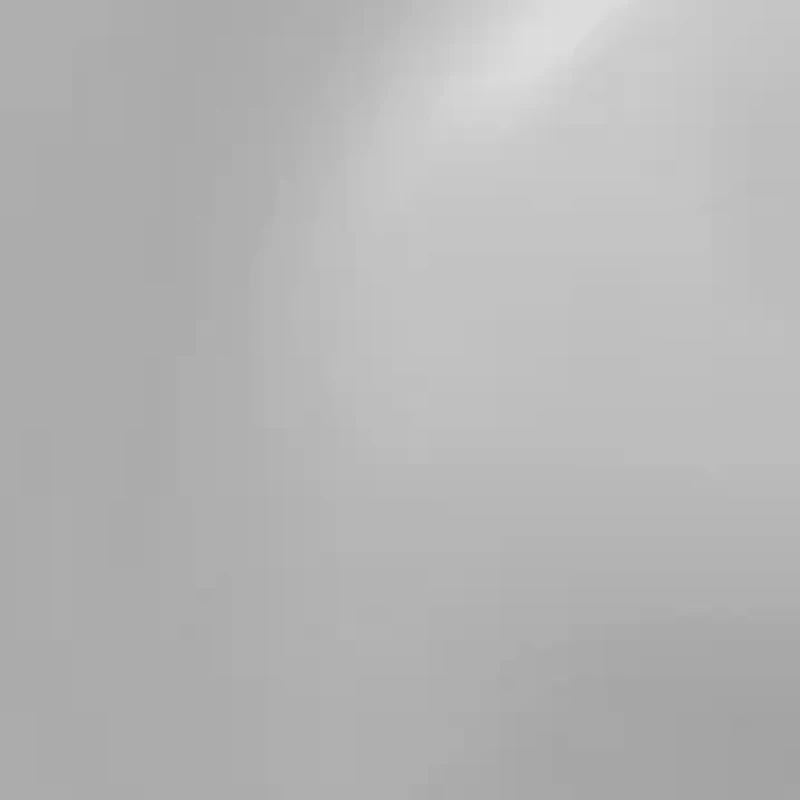 Textured Disc Stud Earrings