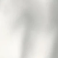 Textured Abalone Drop Earrings