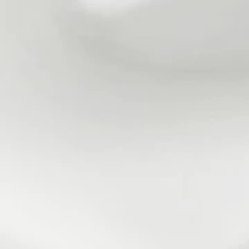 Textured Disc Clip Earrings