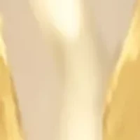 Sculpted Small Hoop Earrings