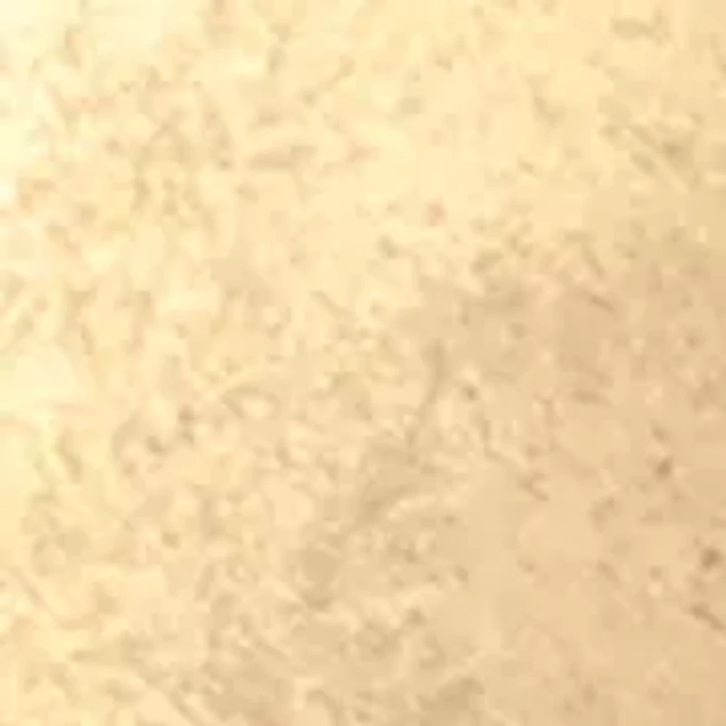 Square Clip-On Earrings