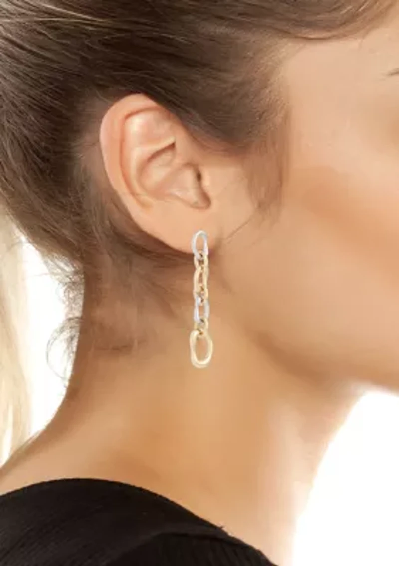 Sculpted Link Linear Earrings