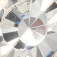 Crystal Crystal Swing Drop Earrings